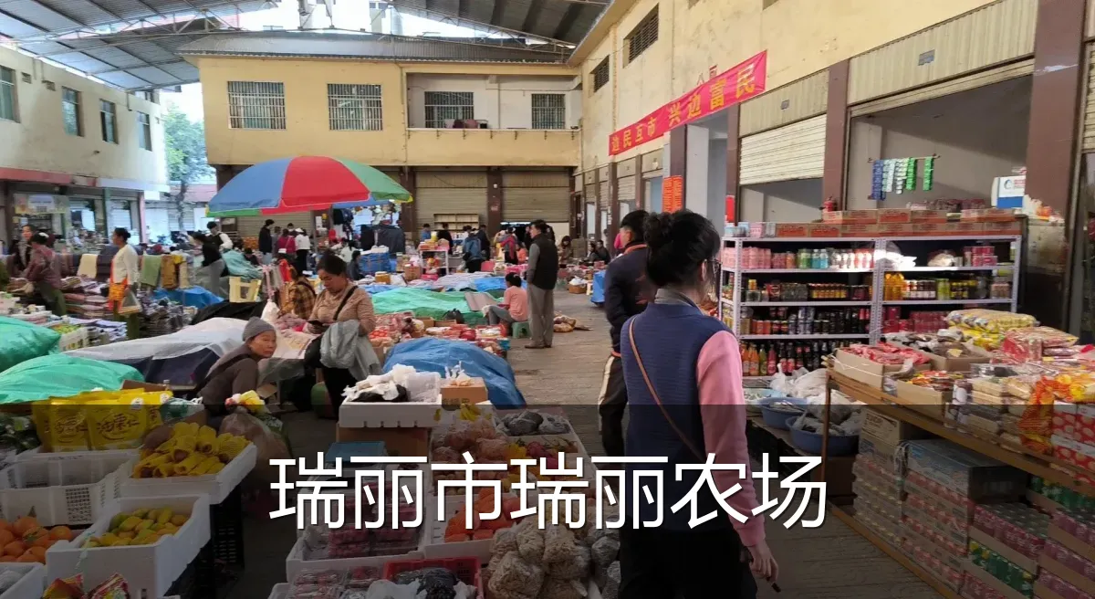 瑞丽市瑞丽农场