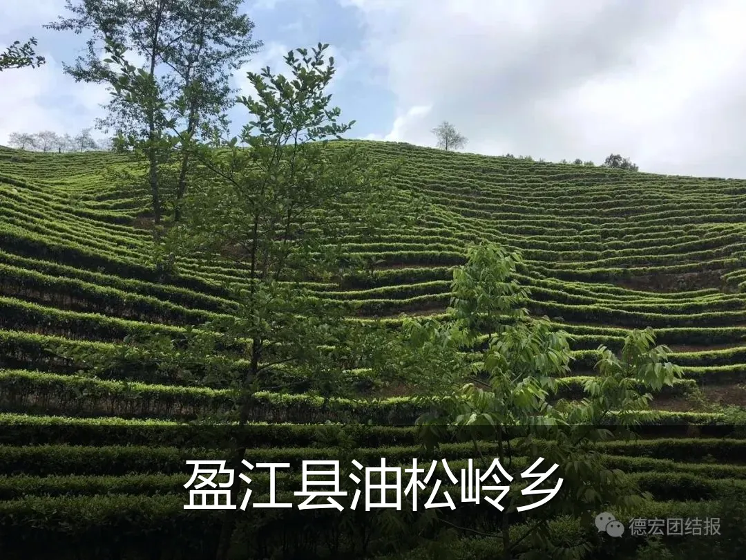盈江县油松岭乡
