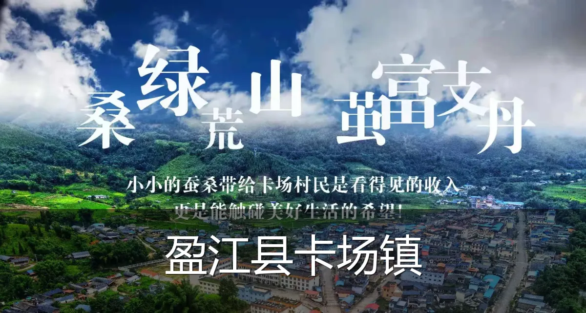 盈江县卡场镇